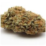 Шишки AK47 (Гидропоника, Бошка) VHQ в Черногорске Шишки AK47 (Гидропоника, Бошка) VHQ в Черногорске