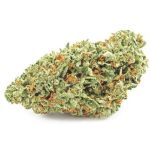 Шишки OG Kush (Гидропоника, бошки) VHQ в Черногорске Шишки OG Kush (Гидропоника, бошки) VHQ в Черногорске